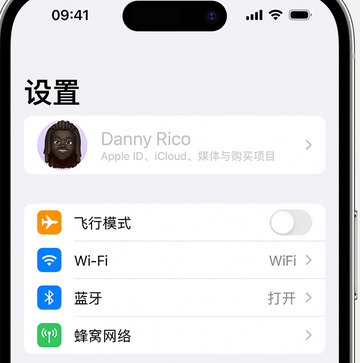 新华appleID维修服务iPhone设置中Apple ID显示为灰色无法使用