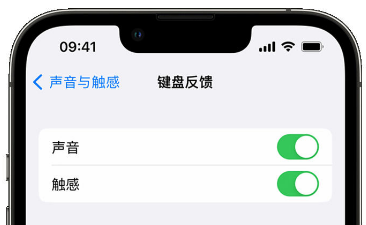 新华苹果手机维修分享iPhone 14触感键盘使用方法 