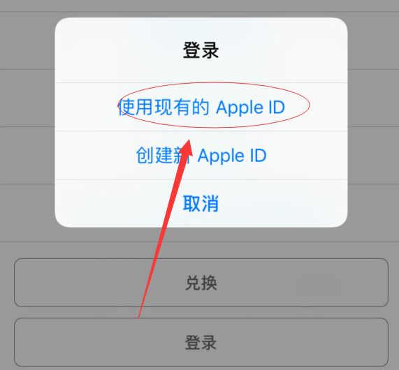 新华苹果手机维修分享两台iPhone设备可以同时登录一个Apple ID吗 