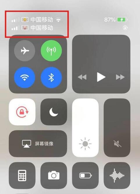 新华苹果手机维修分享为 iPhone 12 双卡设置标签 